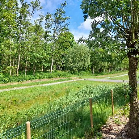 Wellnesshuis Met Hottub, Ligbad En Grote Tuin Βίλα Tzummarum Εξωτερικό φωτογραφία